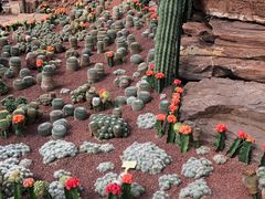 -南通洲际绿博园