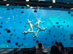 -瑞德姆美人鱼海底演艺主题餐厅(亚龙湾店)