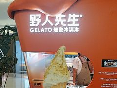 -野人先生现做冰淇淋(北京王府井东方新天地店)