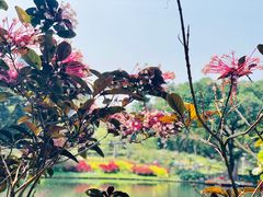 -晓港公园