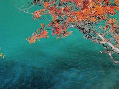 -叠溪松坪沟景区