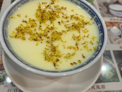 -周大娘牛乳(旧寨古村总店)