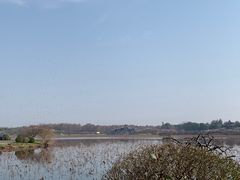 -上海海湾国家森林公园