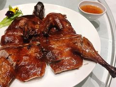 -沪碟·精菜坊(闵行店)