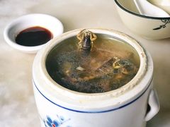 党参乌鸡炖蝎子-国英炖品店(甲子路店)
