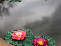 -韶关经律论国际酒店温泉