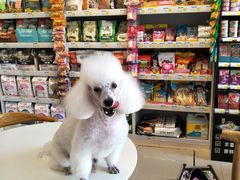 -我爱吾宠宠物美容院(朝阳路店)