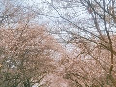 -国际非物质文化遗产博览园