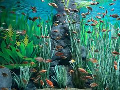 -上海海洋水族馆