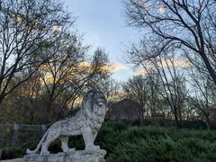 -石家庄市动物园