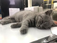 -iF摄影•全家福•证件照•形象照(南山店)