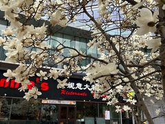 -安妮意大利餐厅(世贸天阶店)