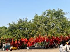 -西双版纳勐泐文化旅游区