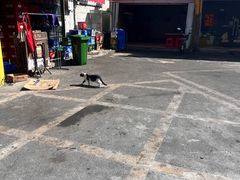 -沙溪兄茶餐厅