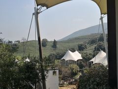 -帐篷客·溪龙茶谷度假酒店