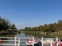 -合肥滨湖国家森林公园