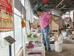 -马陆小张葡萄园农家乐