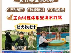 -宠物寄养训练学校