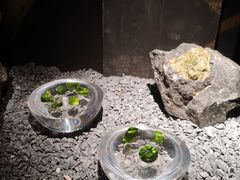 -深圳珠宝博物馆