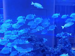 -上和臻品中国菜(花园街店)