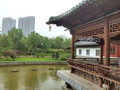-迎泽公园