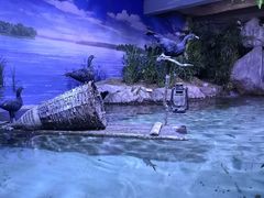-南昌海洋公园