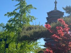 -北京雁栖湖国际会展中心