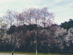 -浙江万里学院(钱湖校区)