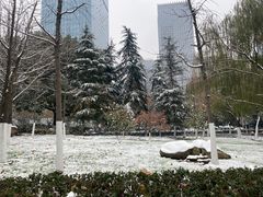 -天鹅湖体育公园