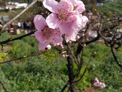 -上海市普陀区中心医院