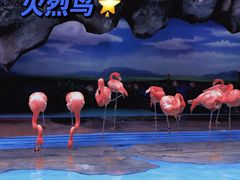 -哈尔滨极地公园