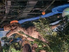 -陕西自然博物馆