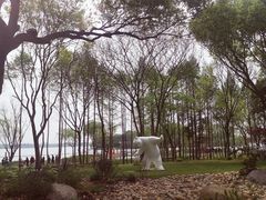 -渤公岛生态公园