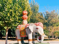 -永定河休闲森林公园