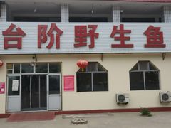 门面-金台阶鱼馆(于桥水库店)