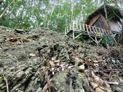 -七仙岭温泉国家森林公园