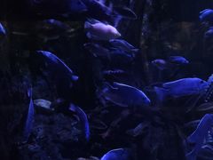 -华夏文旅西安度假区