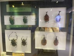 -上海昆虫博物馆