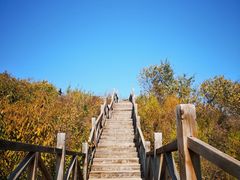 -大岭沟猕猴桃谷风景区