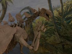 -自贡恐龙博物馆