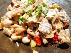泥炉碳锅牛蛙-西街夜油条·麻团包乌饭