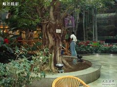  DSC00374-绿色时代大酒店