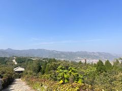 -原山国家森林公园