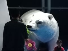 -泉城欧乐堡海洋极地世界