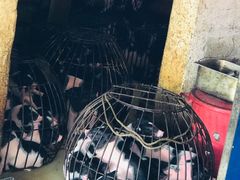 -黄记四更烤乳猪店