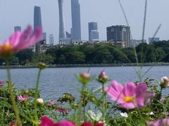 -海珠湖公园