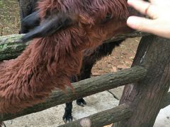-昆明动物园