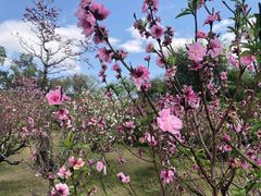 -广州莲花山旅游区