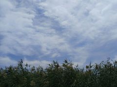 -水洞沟旅游区