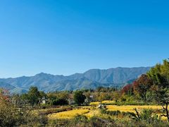 -塔川景区